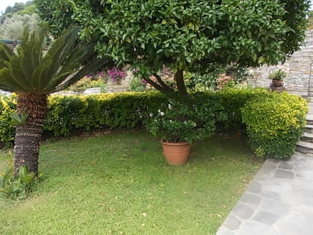 كامولّي Le Clementine B&B المظهر الخارجي الصورة
